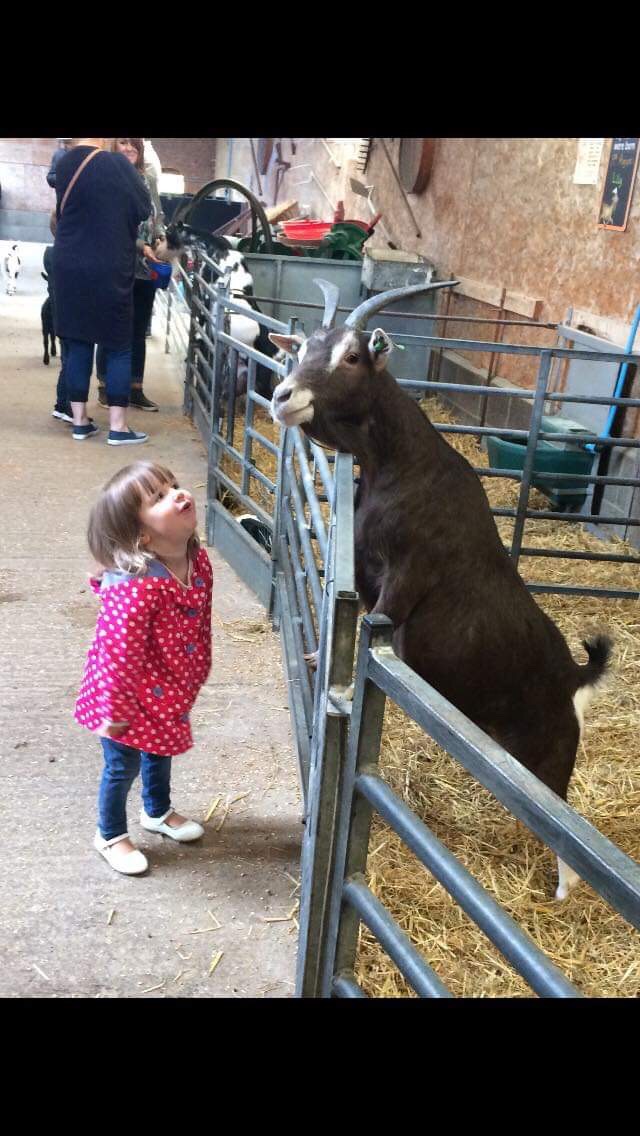 A “FAMILY TIME” DREAM